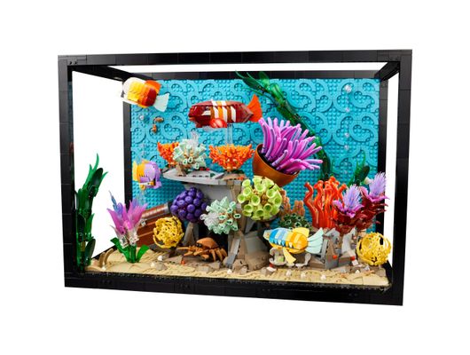 10366-LEGO-Icons-aquario-tropical -14-